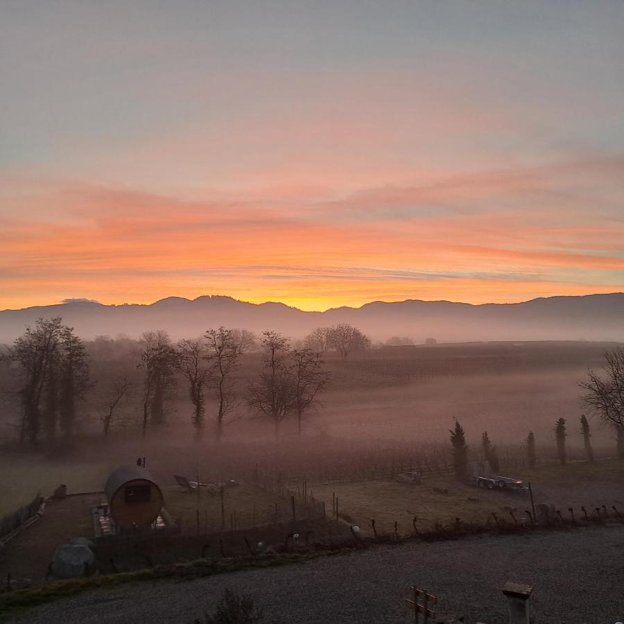 Ferienwohnung Castellberg Heitersheim Zewnętrze zdjęcie