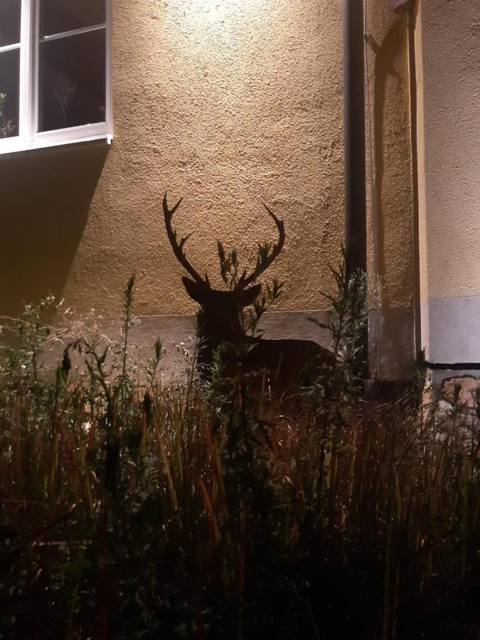 Ferienwohnung Castellberg Heitersheim Zewnętrze zdjęcie